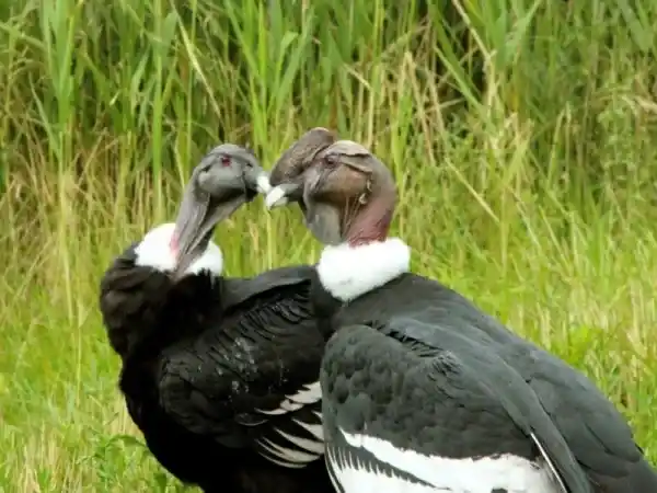 2025091868998596.webp 3.webp