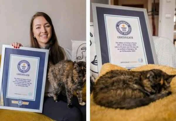 The world's oldest living cat, certified by Guinness World Records, is equivalent to 120 years old in human years.
