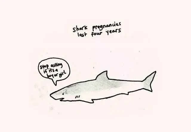 2023011917318719.jpg 7.jpg