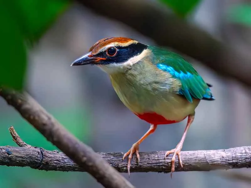 2025031017834397.jpeg 11.jpeg