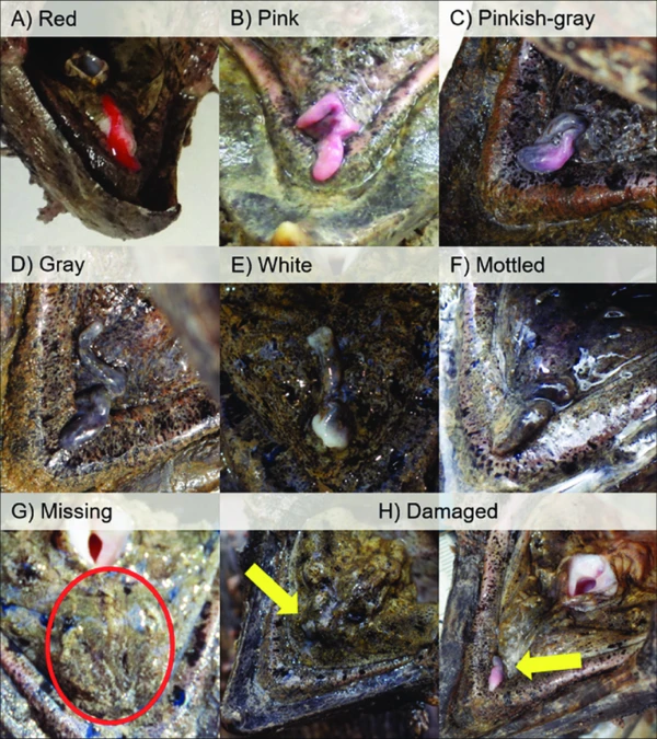 2024112394288928.png 5.png