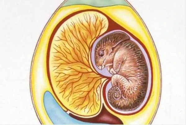 1661499316751281.jpg 7.jpg