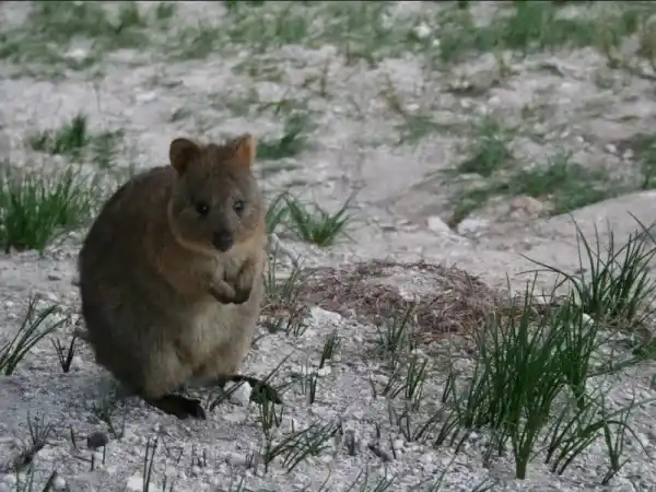 2025073014453311.webp 2.webp