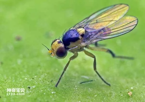 2024042566152840.jpg 7.jpg