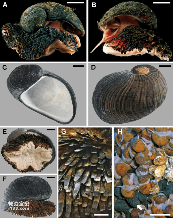 2023110579012231.png 4(1).png