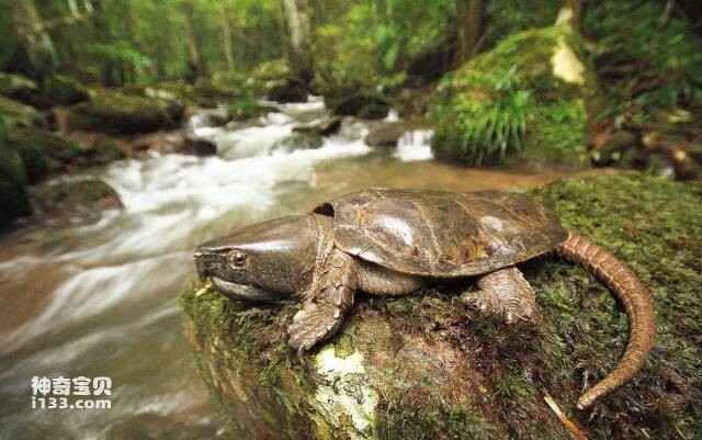 2023051120609582.jpg 44.jpg