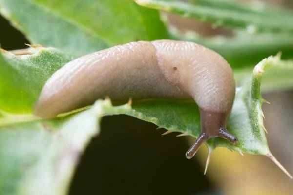 2023110510923293.jpeg 9(1).jpeg