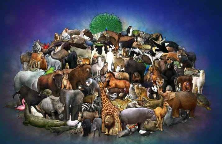 How many kinds of animals are there in the world? A comprehensive overview.