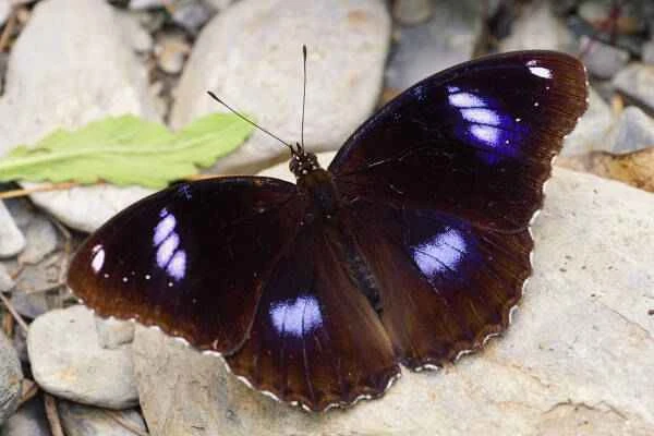 2023101793214419.jpeg 3(1).jpeg