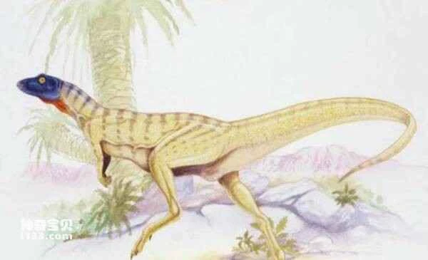 2023040216537201.jpg 2.jpg