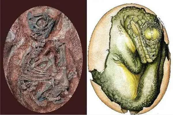 1661499308390476.jpg 6.jpg