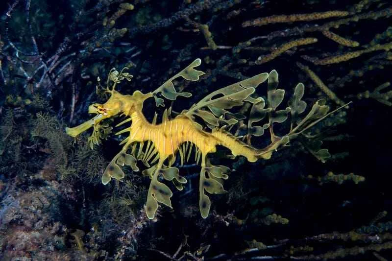 2025042532502676.jpg 17.jpg