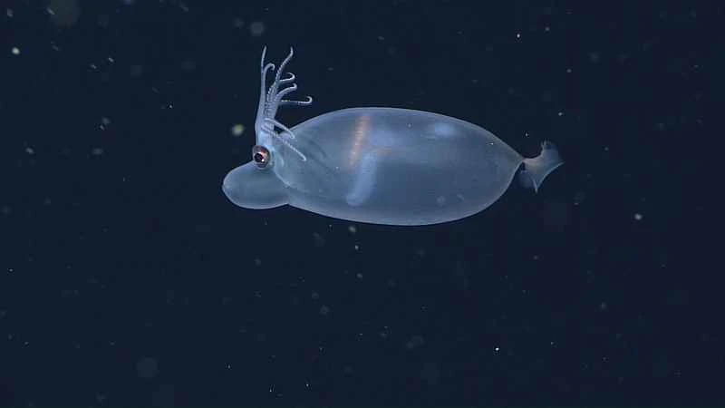 2024111718035178.jpg 99.jpg