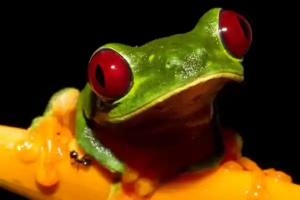 2025082815950981.webp 6.webp