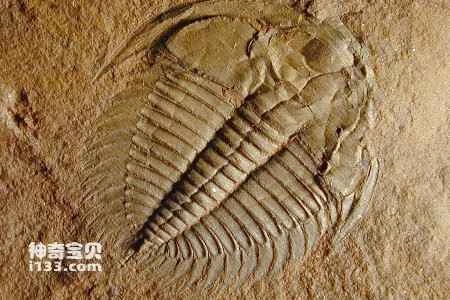 252 million years ago, methane nearly caused a species extinction.