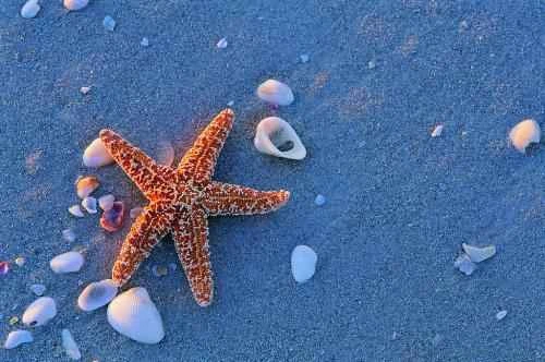 1658401399154052.jpg 4.jpg