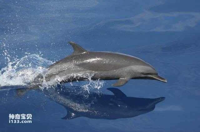 2023060521402877.jpg 4.jpg