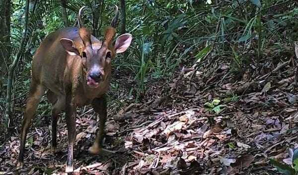 2024011798594457.jpeg 4.jpeg