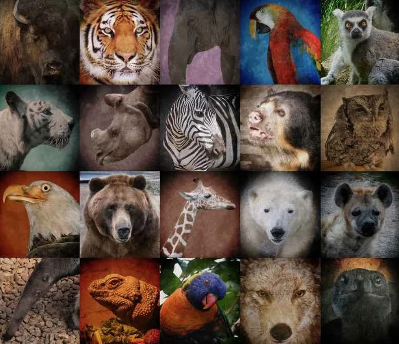 Which animals are going extinct: A comprehensive review of endangered species