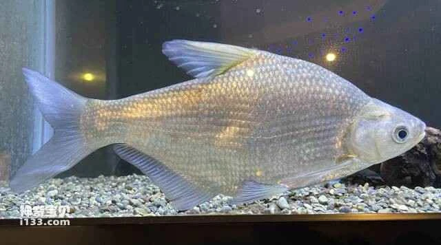 2023051671668878.jpg 8.jpg