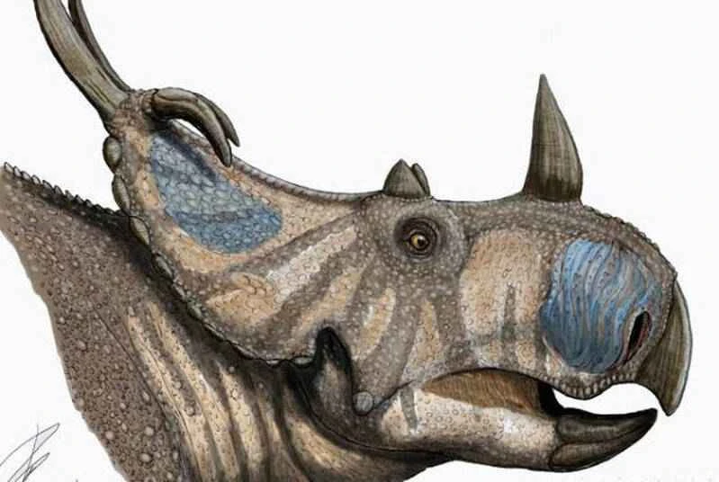 1670219011674737.jpg 8_九雷图片转换器.jpg