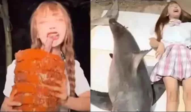 Internet celebrity livestreamer eating a great white shark incident