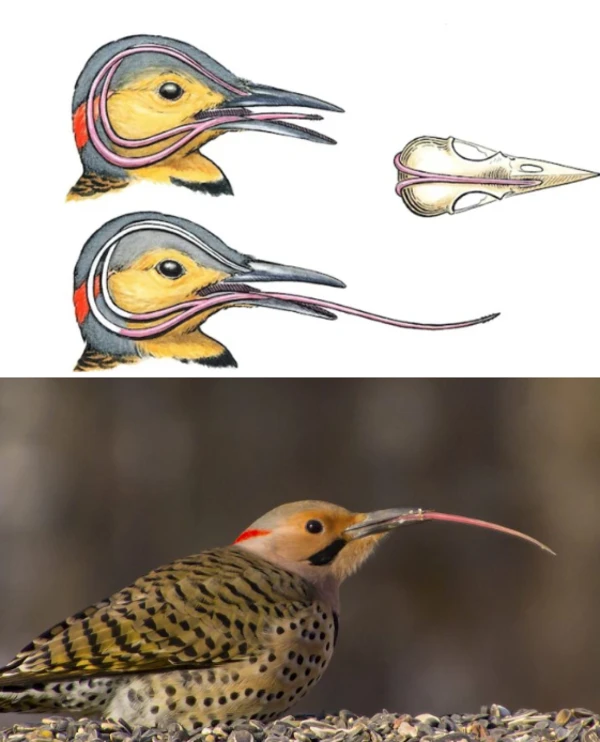 2024112351219262.png 9.1.png