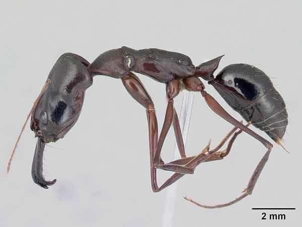 2024060420571088.jpeg 33.jpeg