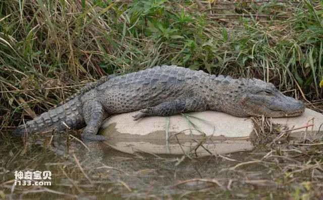 2023053017694595.jpg 7.jpg