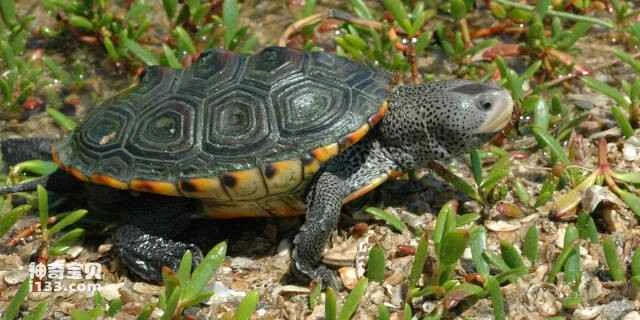 2023051175749976.jpg 3(1).jpg