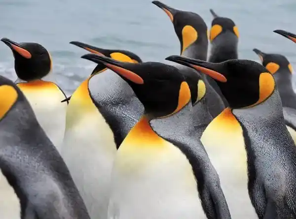 2025080515381193.webp 2.webp