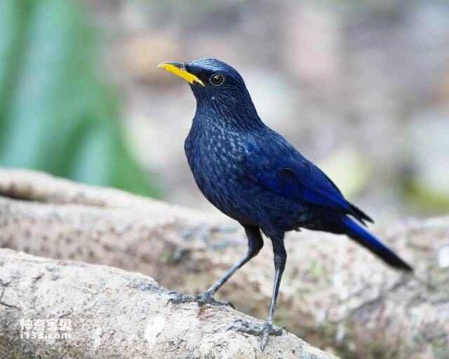 2023060412277730.jpg 77.jpg