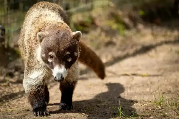 2025072313500288.webp 11.webp