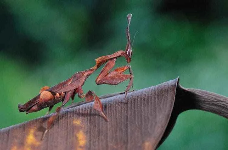 2025101320022469.jpg 3.jpg