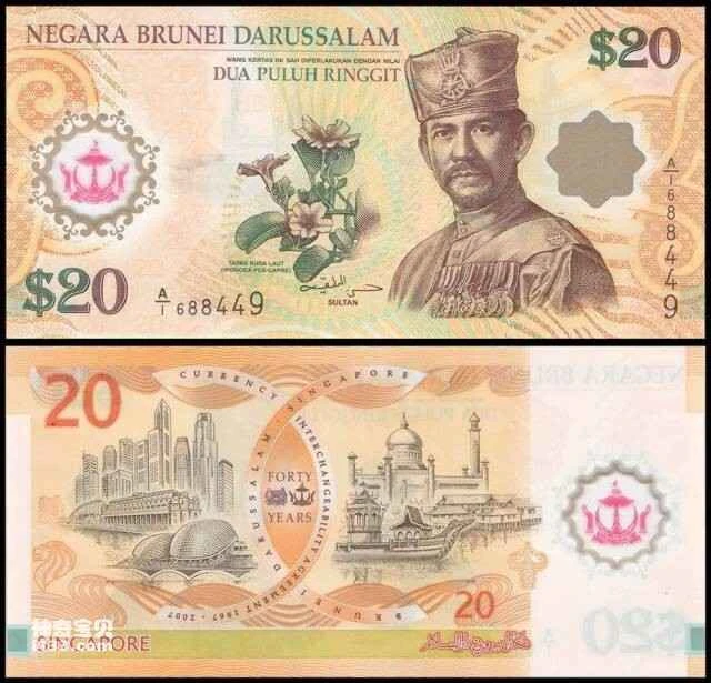 2023060510056152.jpg 20.jpg