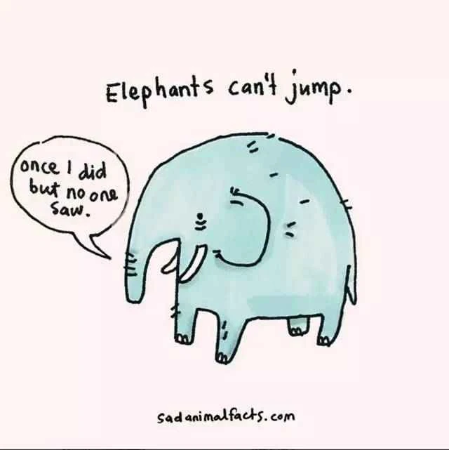 2023011966756925.jpg 14.jpg