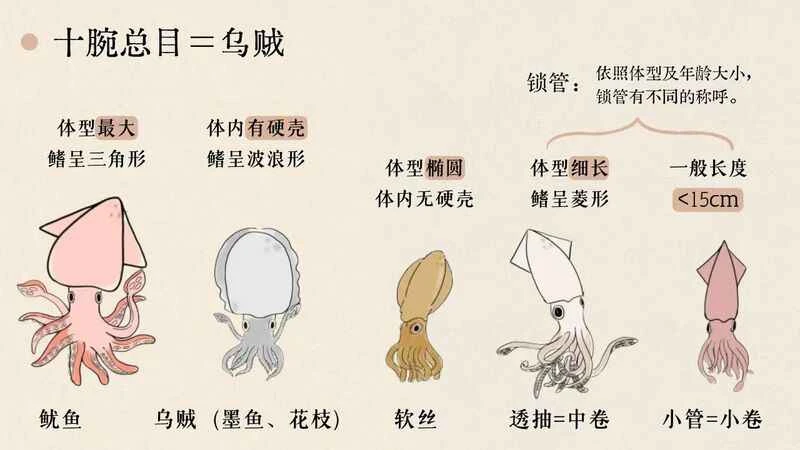 2024111719805482.jpg 113.jpg