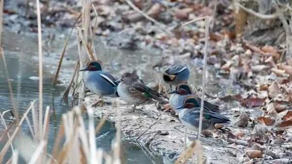 2023011611248881.jpg 4_九雷图片转换器.jpg