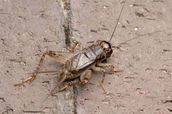 2023103080415300.jpeg 2(1).jpeg