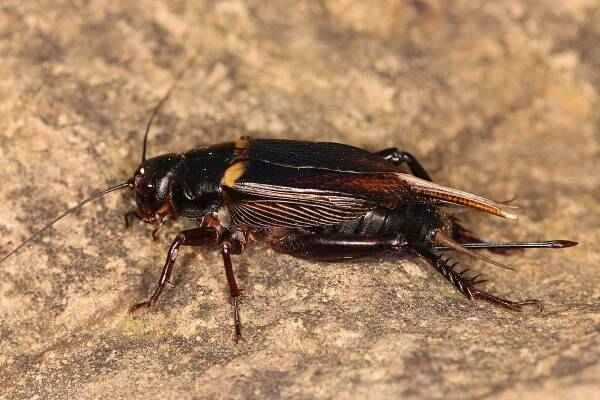 2023103040801068.jpeg 6(1).jpeg