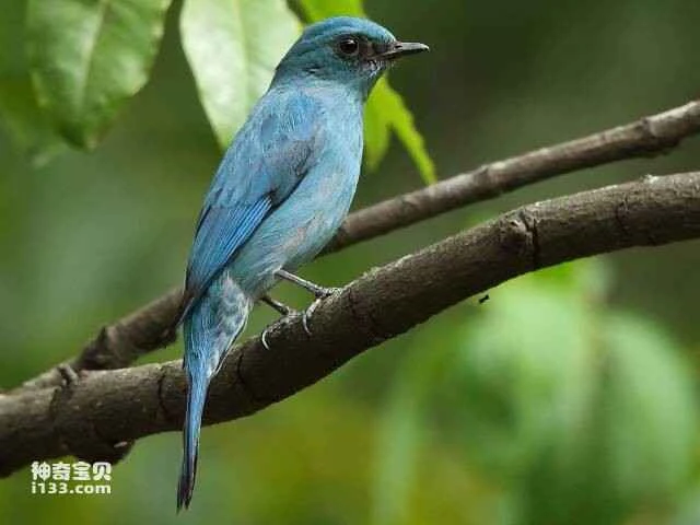 2023060473873077.jpg 55.jpg