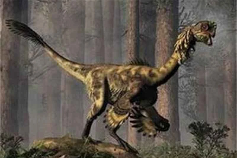 Eight feathered dinosaurs - Which dinosaurs could have had feathers?