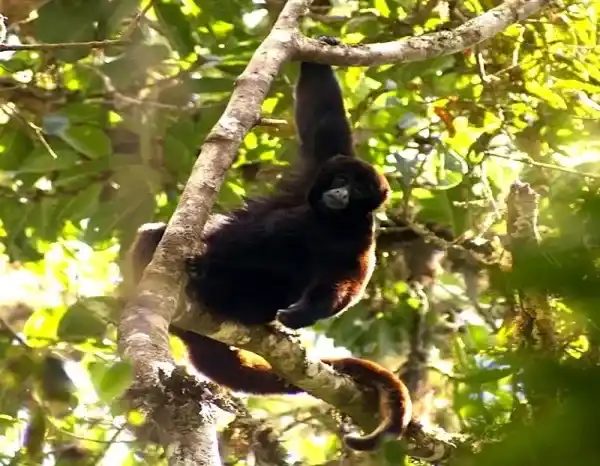 2025091819367229.webp 8.webp