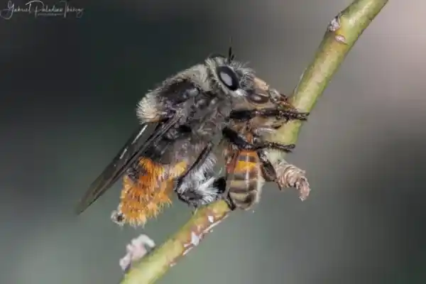 2025072313148023.webp 3.webp