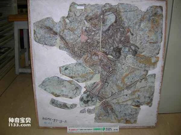 2024012618320131.jpg 2.jpg