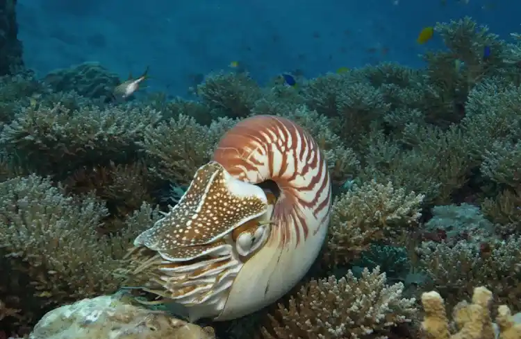 2025053074950096.webp 2.webp