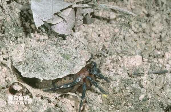 2024012315570888.jpg 3.jpg