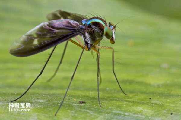 2024012311459996.jpg 2.jpg