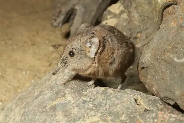 2025071751371905.webp 9.webp