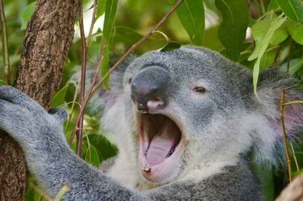 2024112316609435.jpeg 17.jpeg